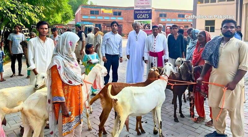 Goats Distributed to 50 Families in Faisalabad Diocese